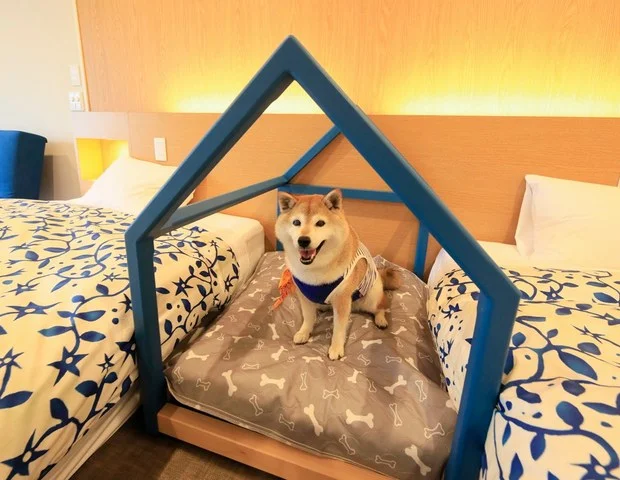 愛犬と泊まれる温泉宿　ゆるり西伊豆