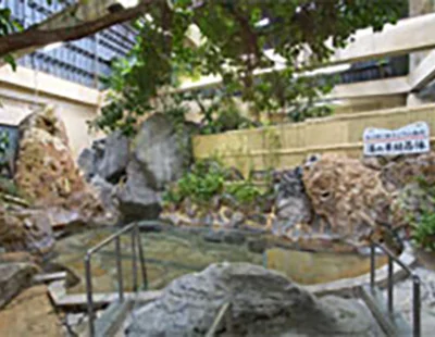 裾野炭酸カルシウム温泉 一の瀬