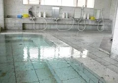 はるひら丸 - 伊東 - 静岡県