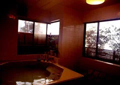 Ashiyo Onsen Yadokari Hot Spring Inn - Shizuoka