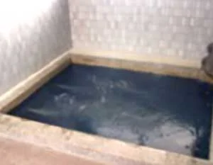 温泉民宿 とみた(閉館しました)