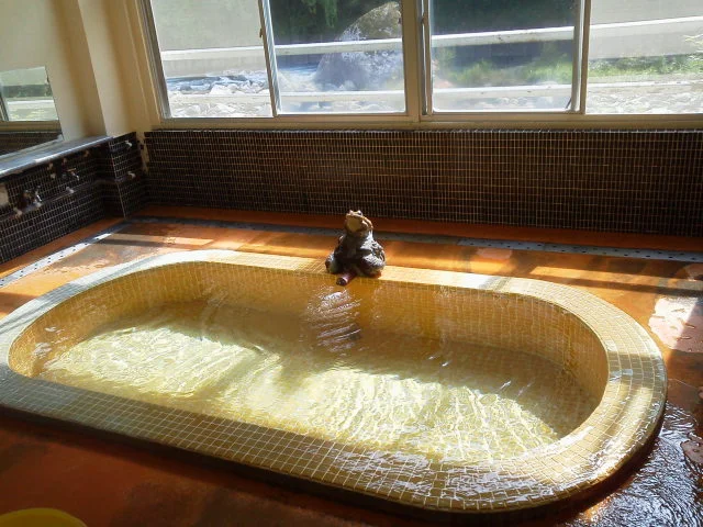 湯ヶ島温泉 河鹿の湯