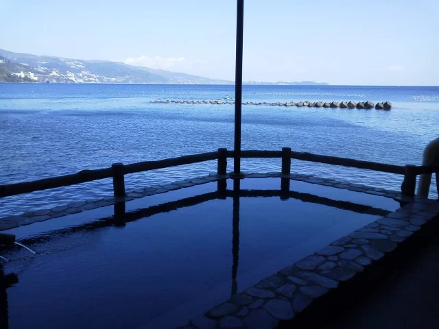 磯料理 海辺の湯の宿 平鶴