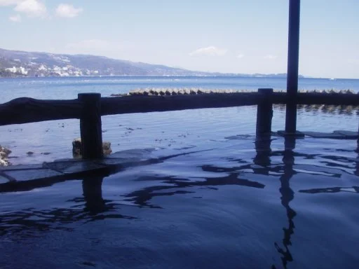 磯料理 海辺の湯の宿 平鶴