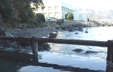 磯料理 海辺の湯の宿 平鶴