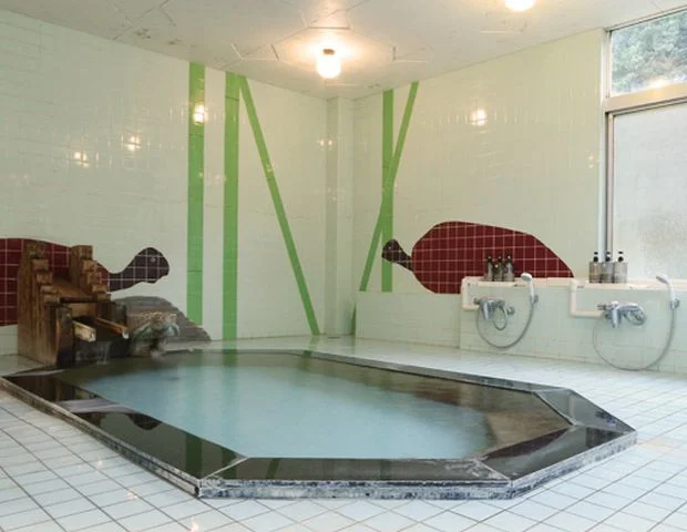 伊豆長岡温泉 あづまや旅館(閉館しました)