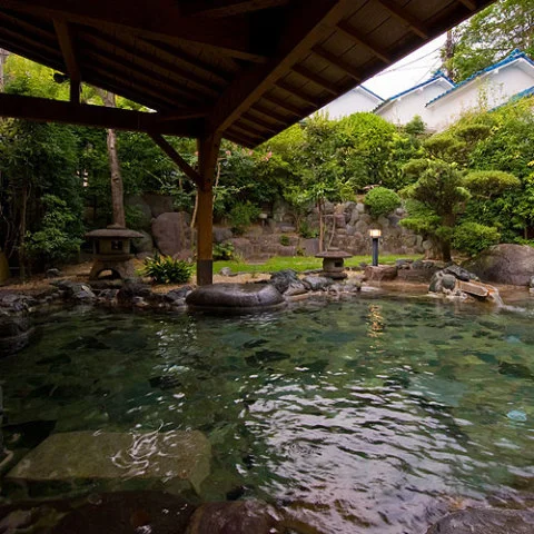 Izu-Nagaoka Onsen Sakanaya Annex Hotel Akane - Shizuoka