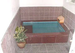 Tacco Izuburu Hot Spring Pension - Shizuoka