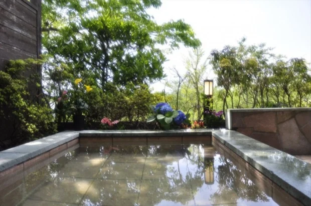 Shuzenji Forest - Shuzenji - Shizuoka