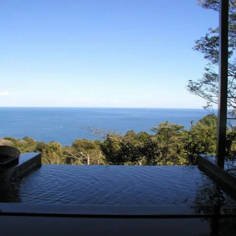 源泉と離れのお宿 月 - 静岡県