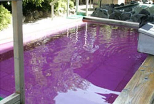 フォトアルバム9