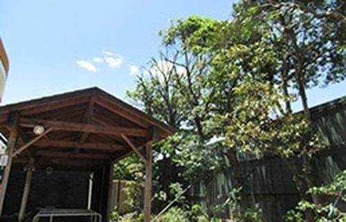 フォトアルバム10