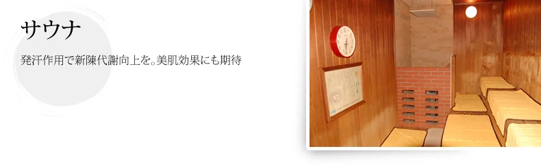 ニューウェルサンピア沼津（閉館しました）