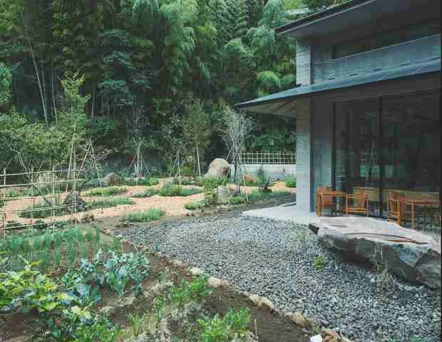 SOKI ATAMI