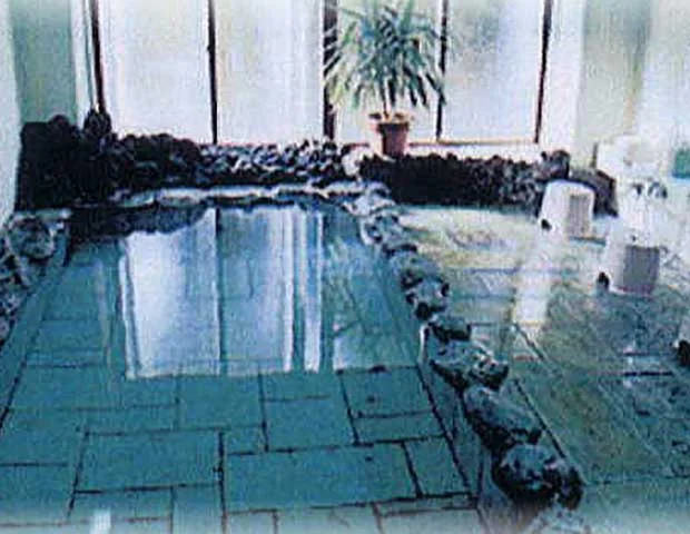 ホテル みなみの荘(閉館しました)