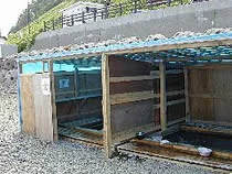 相泊温泉