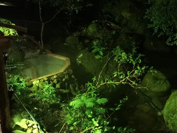 Fu Yu Shin Resort in Kuramatsuno Tennoyu - Shizuoka