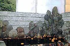 Sakanya Hot Spring Inn - Shizuoka