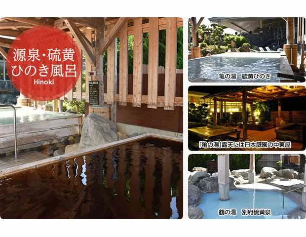 日帰り天然温泉 袋井温泉 和の湯