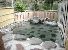 Mineral Arashi-yu Honkan - Shizuoka