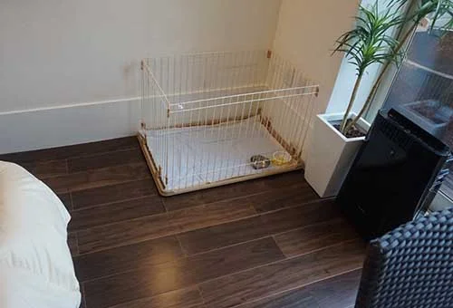 フォトアルバム15