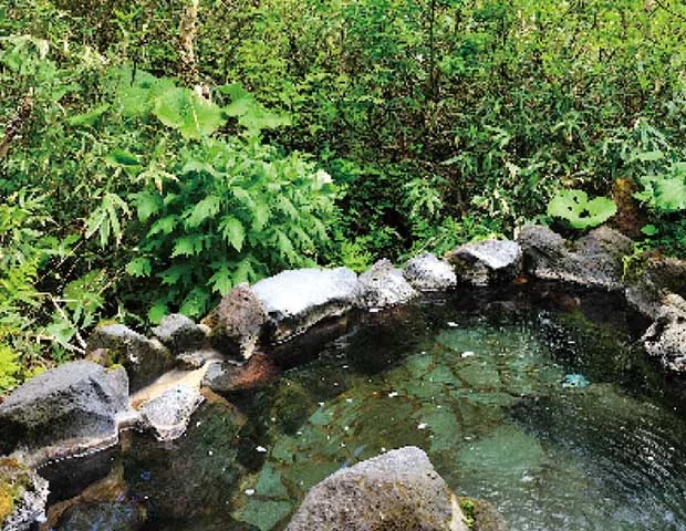 旭岳温泉 大雪山白樺荘