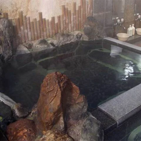 いにしえの宿　梅ヶ島温泉泉屋旅館 - 静岡県