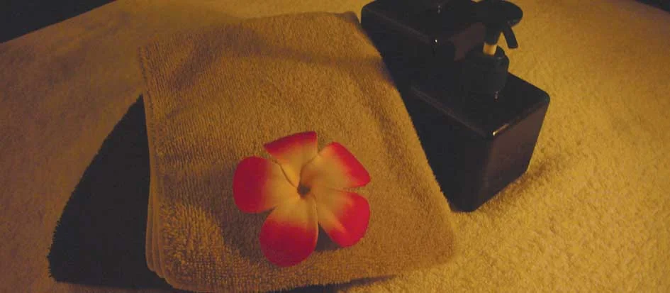 トップメイン画像5