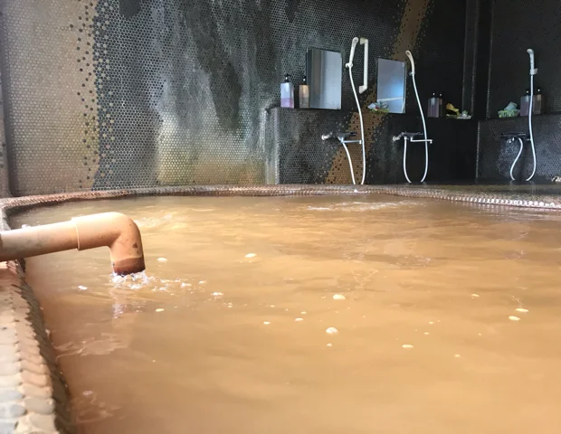 みなくち荘