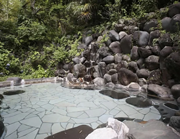 伊豆長岡温泉 南山荘(閉館しました)