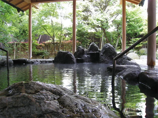三保園ホテル 三保はごろも温泉 天女の湯（閉館しました）