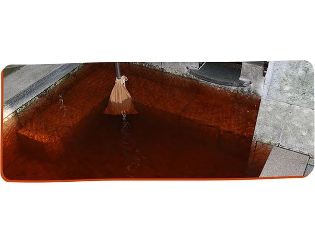 駿河の湯 坂口屋