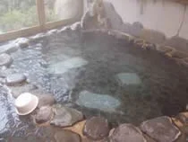 テルメいづみ園