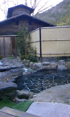 テルメいづみ園