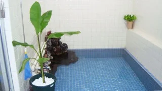 晴レ屋 - 下田 - 静岡県