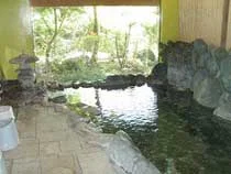 法泉寺温泉 湯元滝本館