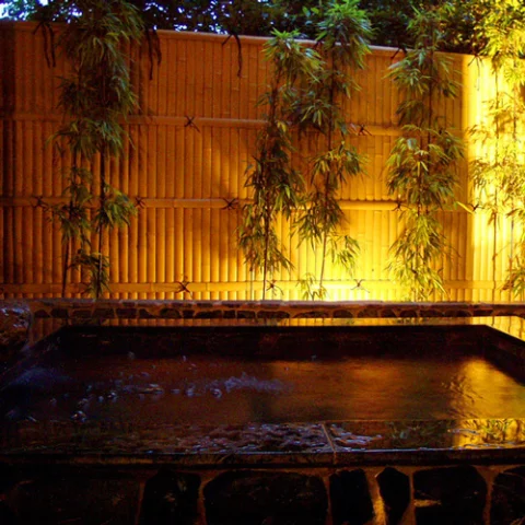 orange berry - 伊豆高原 - 静岡県