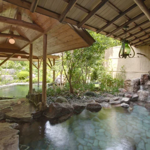 下田蓮台寺温泉 清流荘 - 静岡県