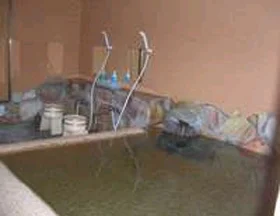 Shiosai no Yado Shirada-so - Shizuoka