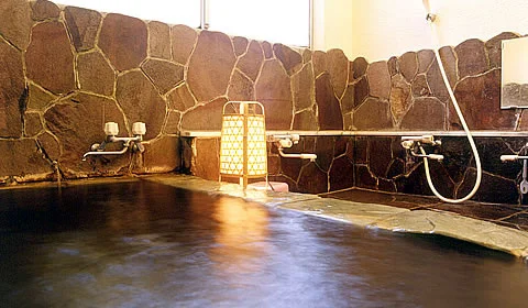 Hashiba Onsen Ryokan - Shizuoka