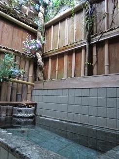 温泉民宿 山仙 - 静岡県