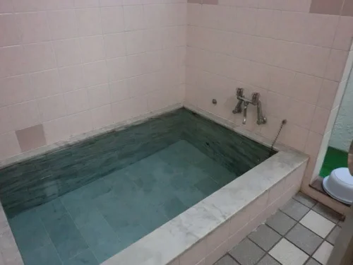 Asaya Hot Spring Inn - Shizuoka