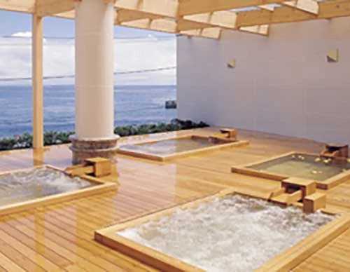 熱川大和館