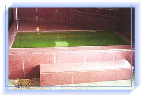 フォトアルバム5