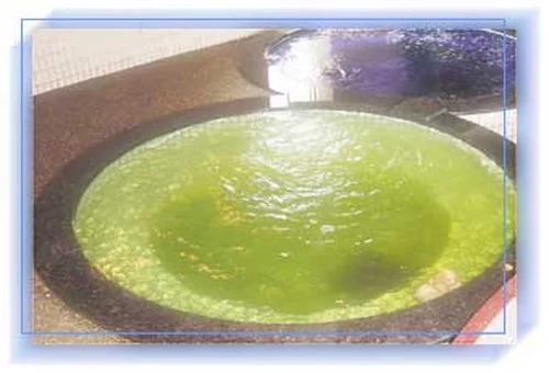 フォトアルバム6