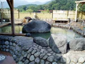 川根温泉ふれあいの泉