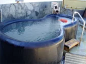 川根温泉ふれあいの泉