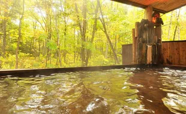 名湯の森ホテルきたふくろう(閉館しました)