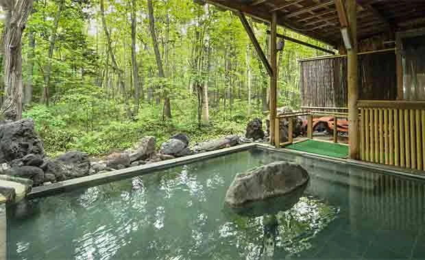 名湯の森ホテルきたふくろう(閉館しました)