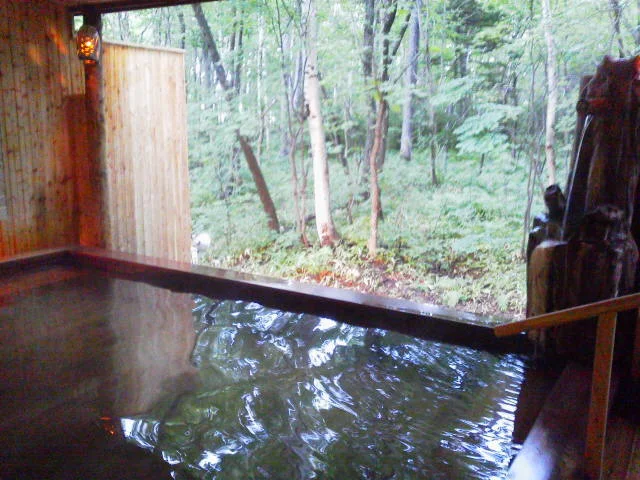 名湯の森ホテルきたふくろう（閉館しました）